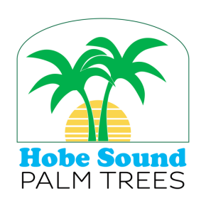 Hobe Sound Palm Trees